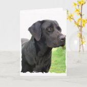 Carte de voeux Black Labrador Retriever (Fleur jaune)