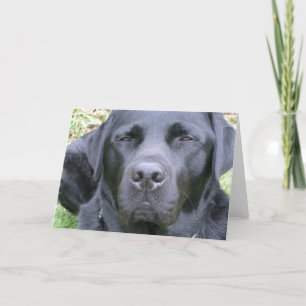 Carte de voeux Black Labrador Retriever Chien