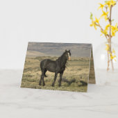 Carte de voeux Black Stallion Wild Horse (Fleur jaune)