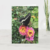 Carte de voeux - Black Swallowtail sur Lantana (Devant)