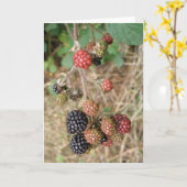 Carte de voeux Blackberry Bonanza (Fleur jaune)