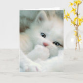 Carte de voeux - Blanc Fluffy Kitten (Fleur jaune)