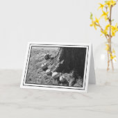 Carte de voeux blanche Citrouille d'automne (Fleur jaune)