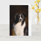 Carte de voeux blanche Collie Bordure (Fleur jaune)