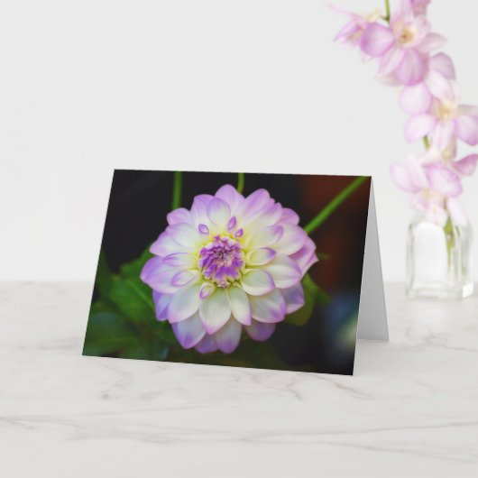 Carte de voeux blanche Dahlia Eveline (Orchidée)