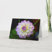 Carte de voeux blanche Dahlia Eveline (Devant)