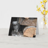 Carte de voeux blanche de belette, intérieur vide (Fleur jaune)