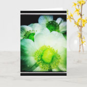 Carte de voeux blanche de blanc d'anémone (Fleur jaune)