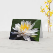 Carte de voeux blanche de blanc de nénuphar (Fleur jaune)