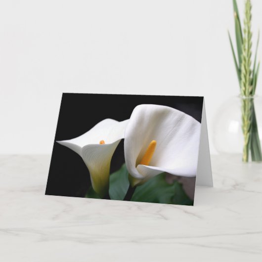 Carte de voeux blanche de fleur de zantedeschia (Devant)
