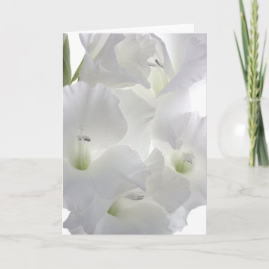 Carte de voeux blanche de Gladiola (Devant)