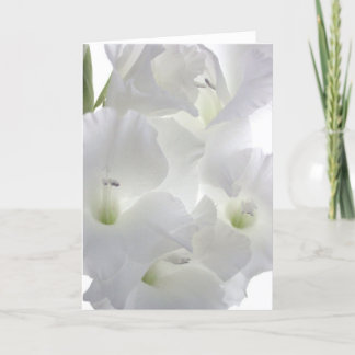 Carte de voeux blanche de Gladiola