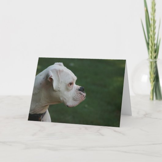 Carte de voeux blanche de photo de chien de boxeur (Devant)
