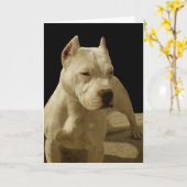 Carte de voeux blanche de pitbull (Fleur jaune)