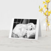 Carte de voeux blanche de Portrait de chien Cockap (Fleur jaune)