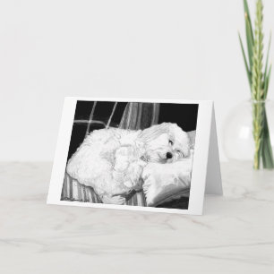 Carte de voeux blanche de Portrait de chien Cockap
