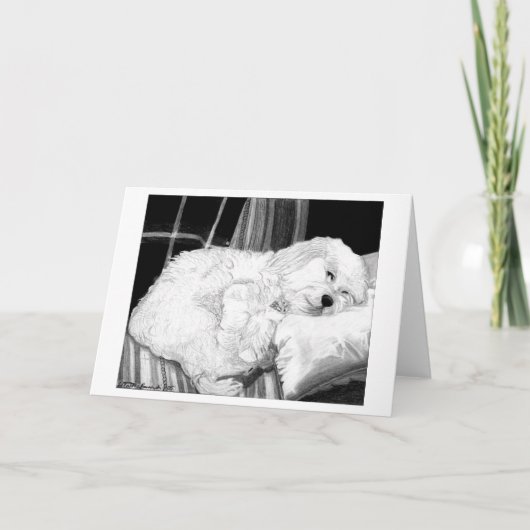 Carte de voeux blanche de Portrait de chien Cockap (Devant)