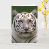 Carte de voeux blanche de tigre (Fleur jaune)