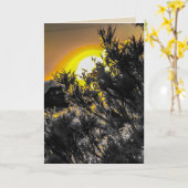 Carte de voeux blanche du coucher de soleil du dés (Fleur jaune)