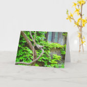 Carte de voeux blanche écureuil et vignes (Fleur jaune)