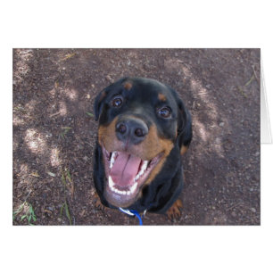Carte de voeux blanche Heidi Happy Rottweiler