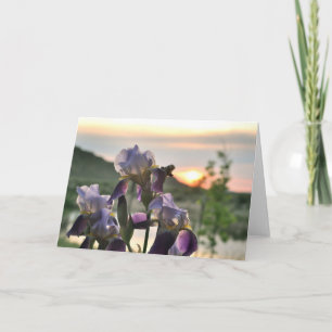 Carte de voeux blanche Irises et coucher de soleil