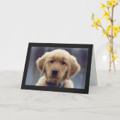 Carte de voeux blanche Kelly Golden Retriever (Fleur jaune)