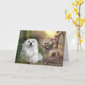 Carte de voeux blanche maltaise Snowdrop (Fleur jaune)