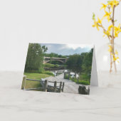 Carte de voeux blanche Paint River Boardwalk (Fleur jaune)