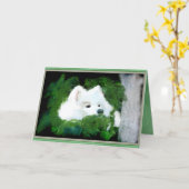 Carte de voeux blanche personnalisée ; Samoyed in  (Fleur jaune)