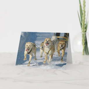Carte de voeux blanche pour chien de traîneau de l