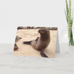 Carte de voeux blanche pour le lion de mer