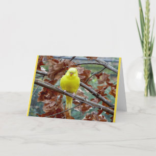 Carte de voeux blanche pour les oiseaux jaunes
