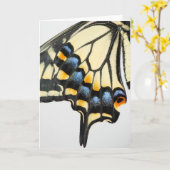 Carte de voeux blanche pour papillon Swallowtail (Fleur jaune)