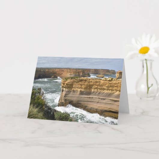 Carte de voeux blanche Razorback Victoria (Petite plante)