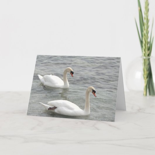 Carte de voeux blanche Swans (Devant)