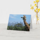 Carte de voeux blanche Sydney Giraffe Australie (Fleur jaune)