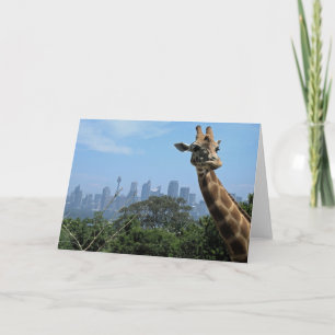 Carte de voeux blanche Sydney Giraffe Australie