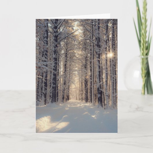 Carte de voeux blanche Winter Wonderland (Devant)