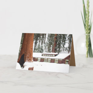 Carte de voeux Blank Holiday avec Redwoods enneigé