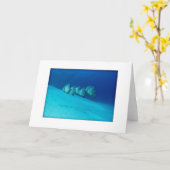 Carte de voeux bleue de Batfish (Fleur jaune)