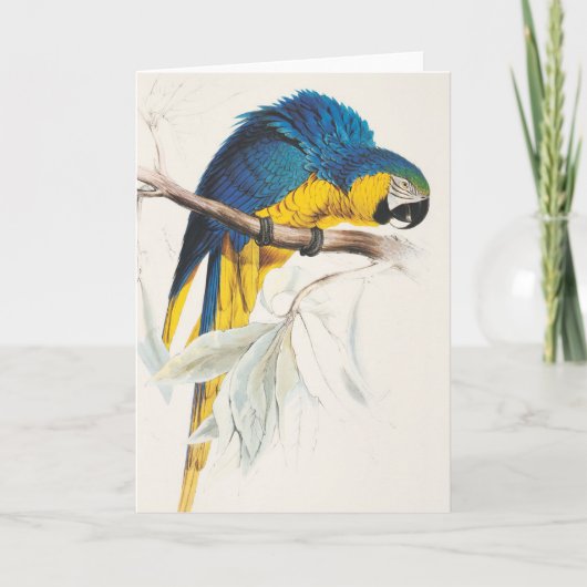 Carte de voeux bleue et jaune d'ara (Devant)