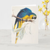 Carte de voeux bleue et jaune d'ara (Fleur jaune)