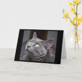 Carte de voeux bleue russe de délivrance de chat (Fleur jaune)