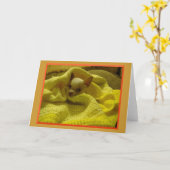 Carte de voeux blottie de chiwawa (Fleur jaune)