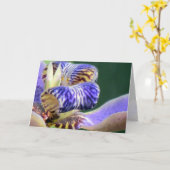 Carte de voeux Blue Iris (Fleur jaune)