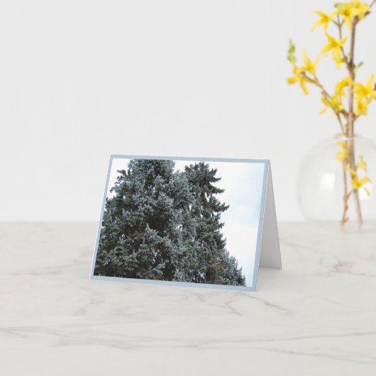 Carte de voeux Blue Spruce Trees (Fleur jaune)