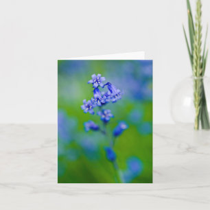 Carte de voeux Bluebell flower