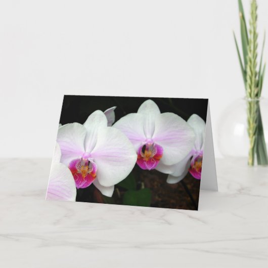 Carte de voeux Blushing Bride Orchids (Devant)