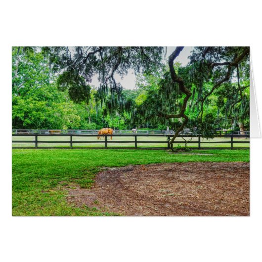 Carte de voeux Boone Hall Stables (Devant horizontal)